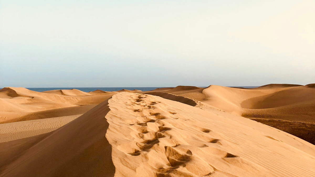 Entspannen zwischen Sanddünen und Meer: Darum ist Maspalomas die Traumoase der Kanaren