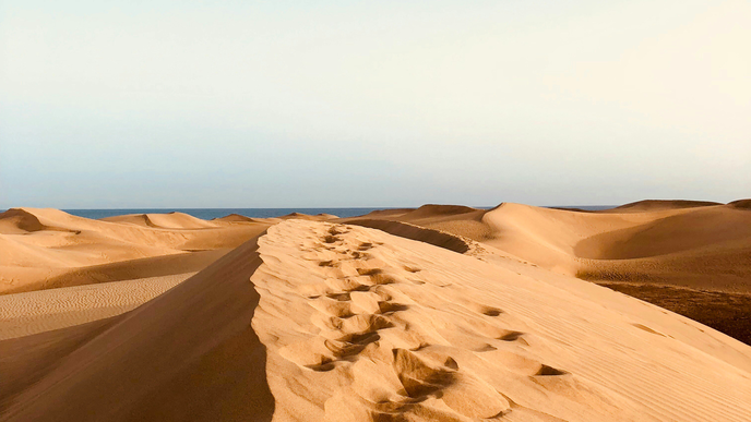 Entspannen zwischen Sanddünen und Meer: Darum ist Maspalomas die Traumoase der Kanaren