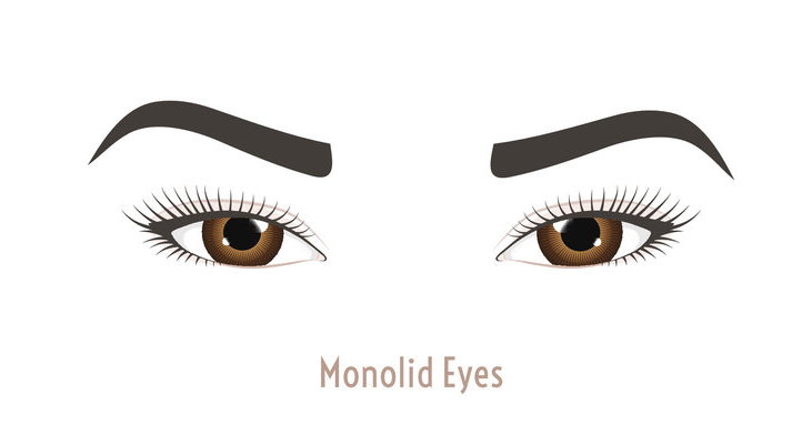 Monolid