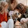Die 6 besten Campingplätze für Hunde in Deutschland