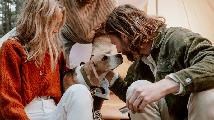 Die 6 besten Campingplätze für Hunde in Deutschland
