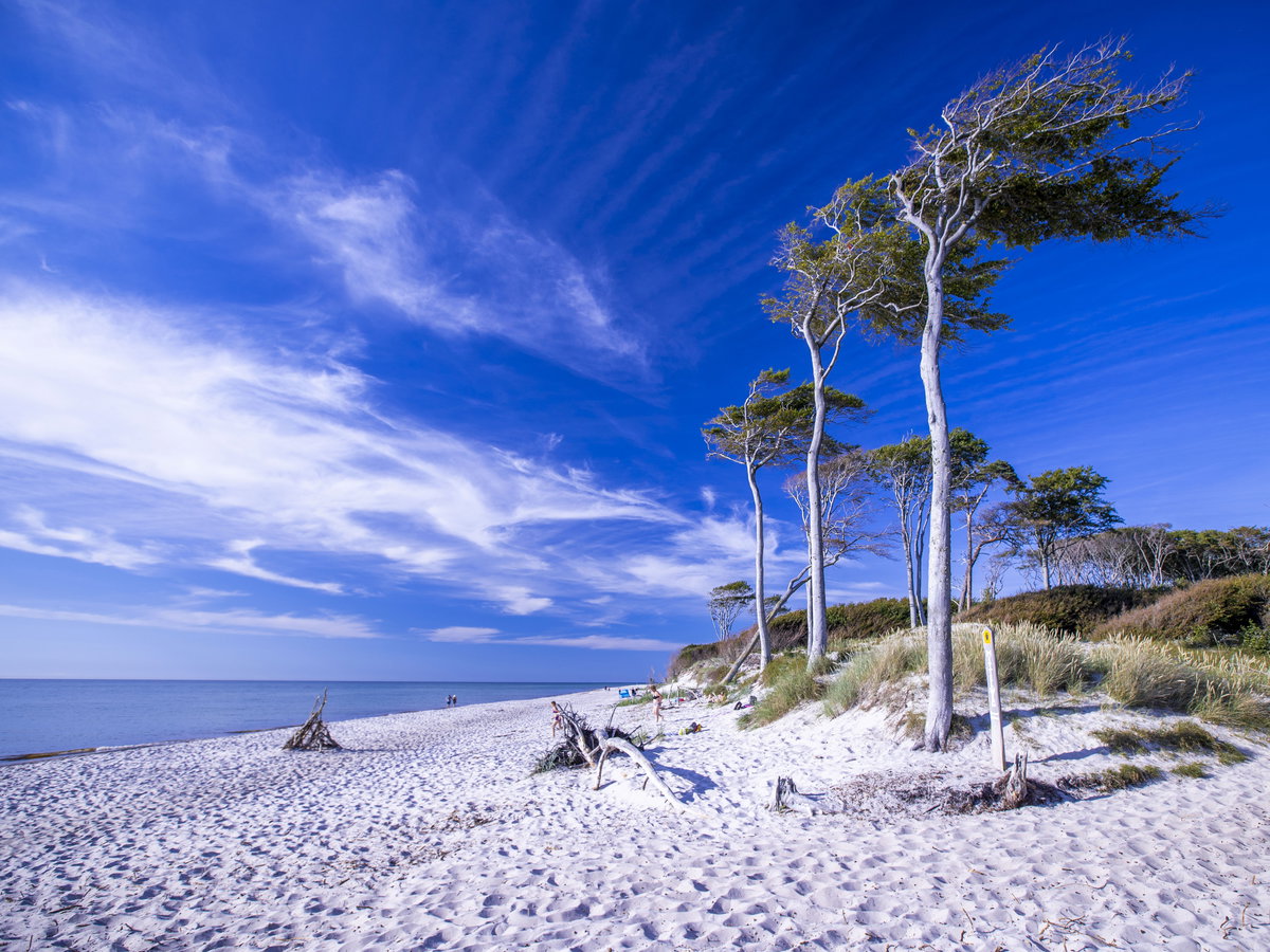 Weststrand auf der Halbinsel Fischland-Darss-Zingst in der Ostsee