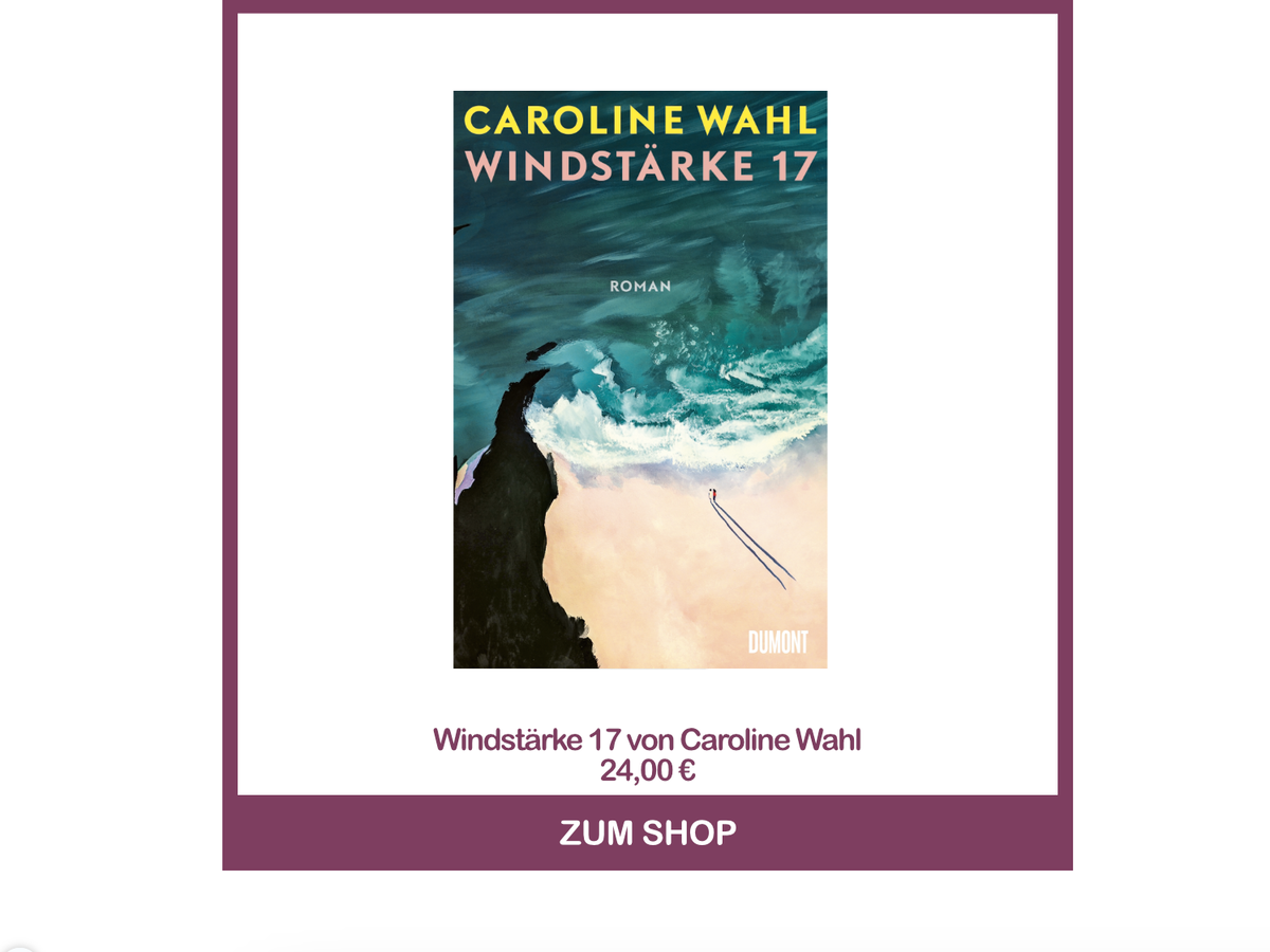 Windstärke 17 von Caroline Wahl