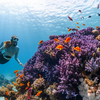 Wie zeitlose Eleganz im Urlaub gelingt - auch beim Tauchen