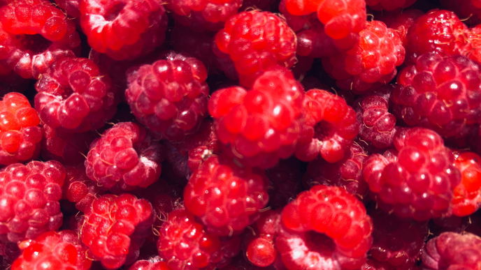 Himbeeren: Diese 2 Tipps bescheren Ihnen besonders viele Früchte!