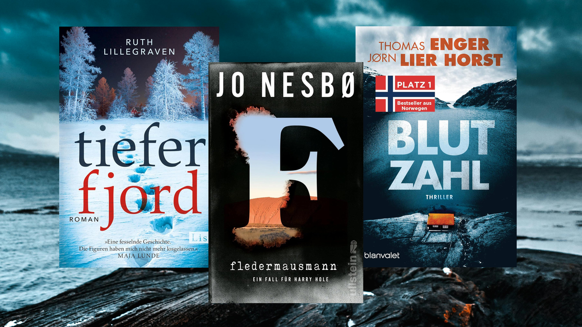 Norwegen-Krimis: 12 hochspannende Geheimtipps, die Sie nicht mehr aus den Händen legen werden