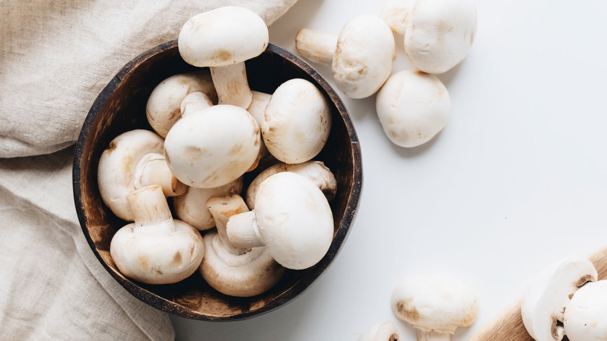 Frische Pilze lagern: Wie bleiben Champignons lange frisch? 