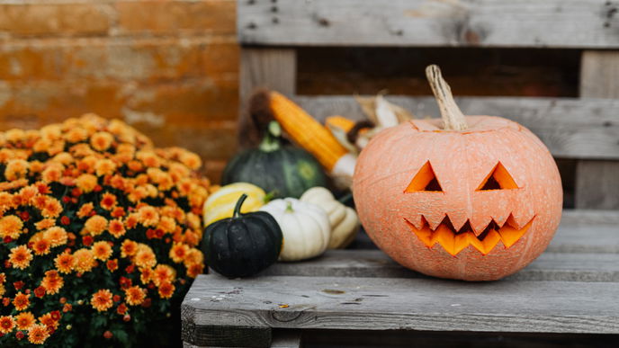 Halloween-Kürbis länger haltbar machen: Die besten 6 Tipps 