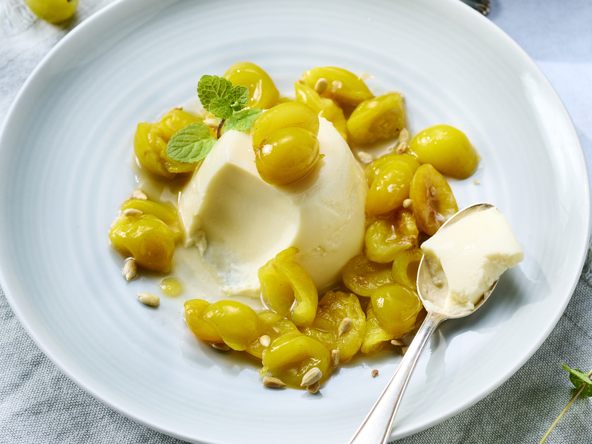 Mirabellen-Panna-Cotta