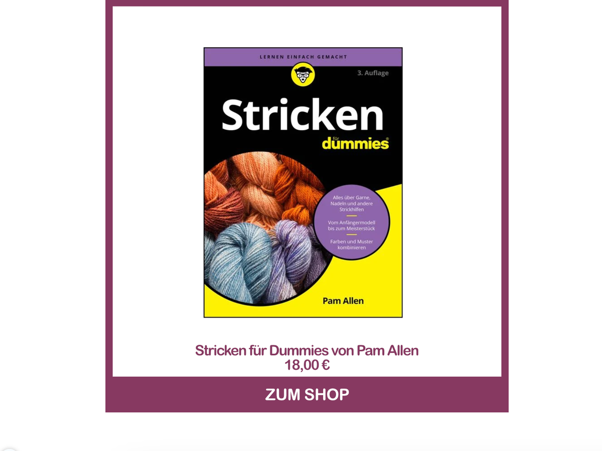 Strickbuch für Anfänger - Stricken für Dummies von Pam Allen