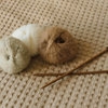 Strickbuch für Anfänger: 8 Empfehlungen, mit denen das Stricken zum Kinderspiel wird