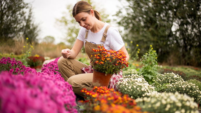 Was im Herbst einpflanzen? 9 Stauden & Gemüsesorten, die jetzt in die Erde kommen