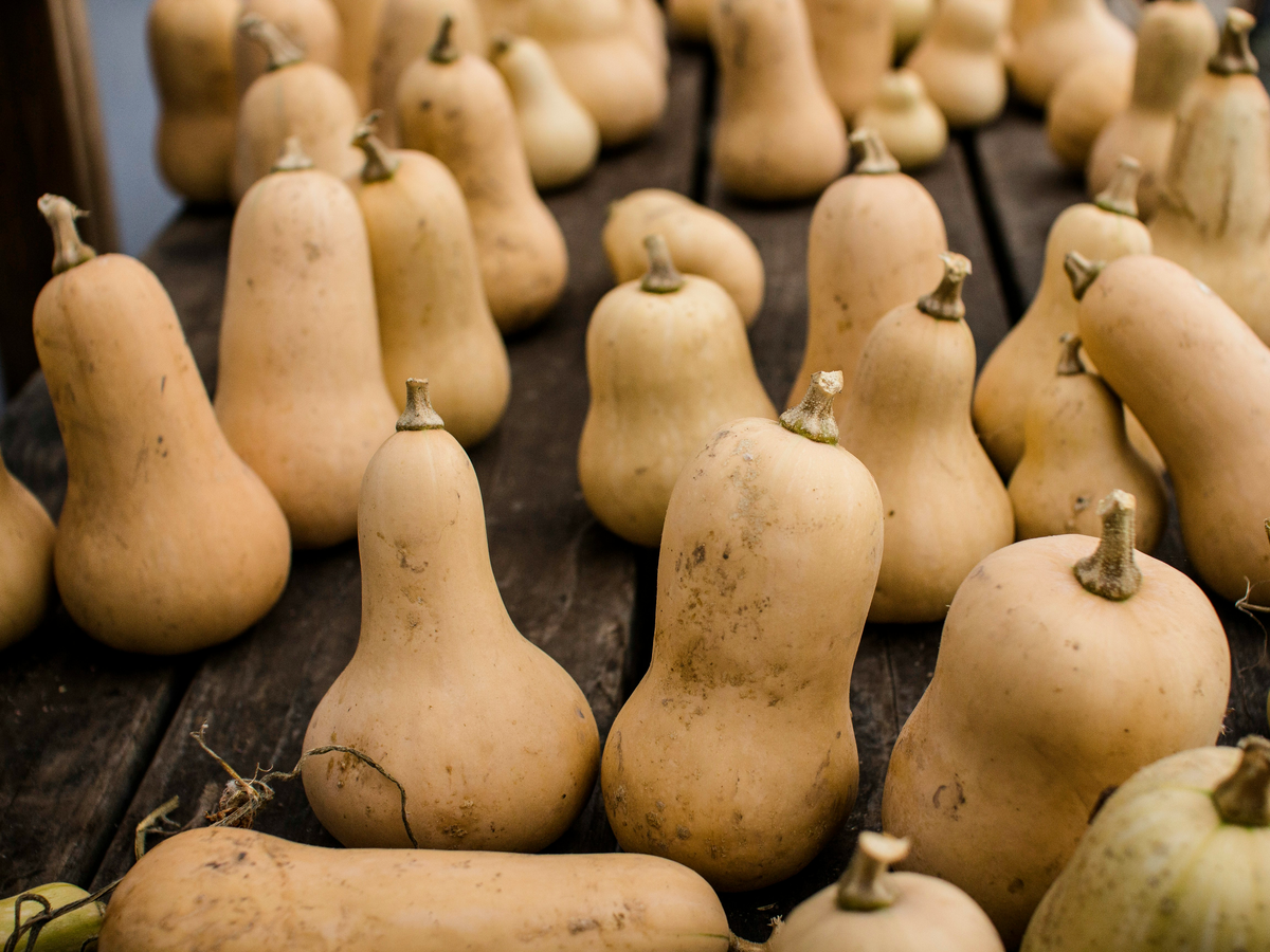 Welche Kürbissorten gibt es - Butternut-Kürbis