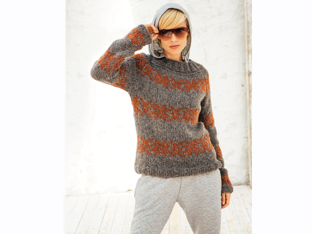 Stricken mit Merinowolle - Raglanpullover mit Jacquardmuster