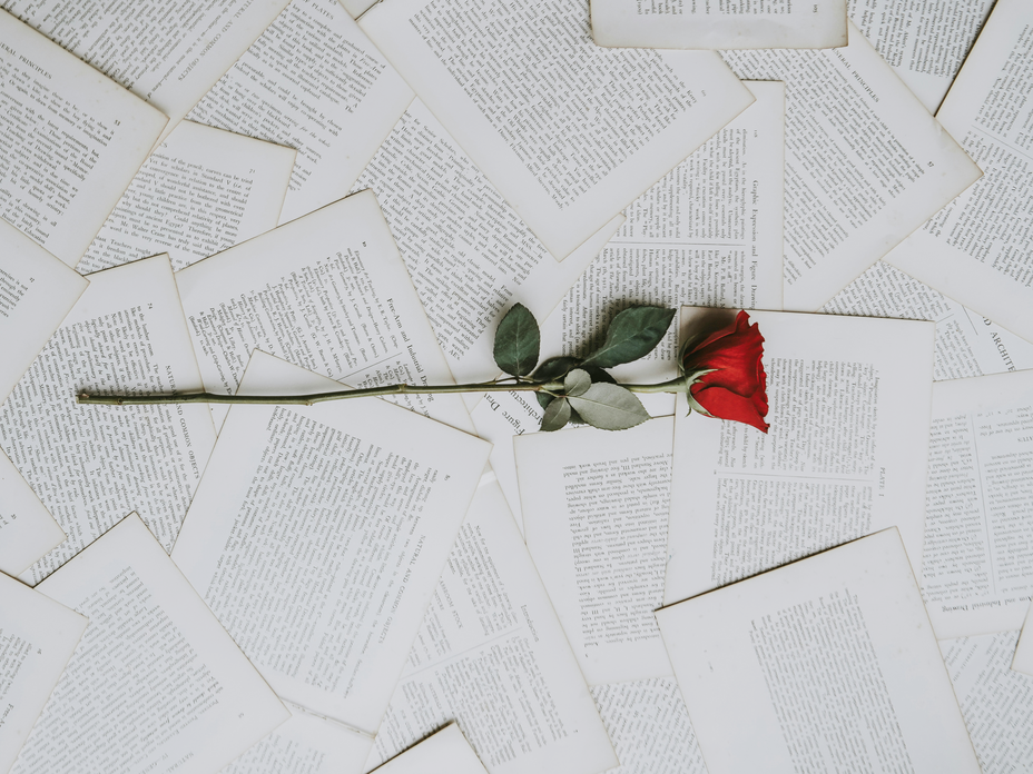 Die besten Enemies to Lovers Bücher