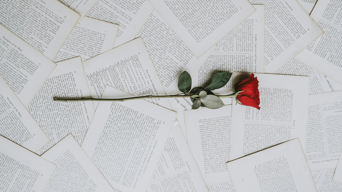 Die besten Enemies to Lovers Bücher: Diese 5 Romane werden Sie an nur einem Tag verschlingen