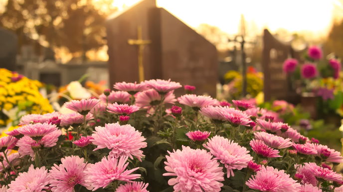 Grabbepflanzung im Frühling: Die besten Tipps & Pflanzen für die Gestaltung