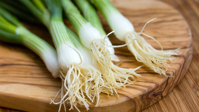 Lauchzwiebeln: Zubereitung, Tipps & leckere Rezepte mit dem gesunden Gemüse