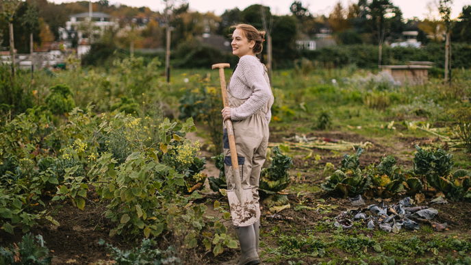 Garten im März: Alles Wichtige zu den Arbeitsschritten, Saaten und der ersten Ernte 