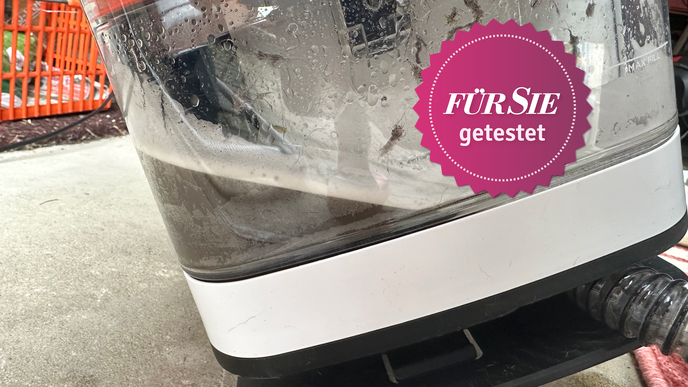 Teppichreiniger-Gerät von Shark im Test: Teppiche und Polster wie neu? Ergebnis überrascht! 