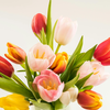Tulpen hängen? Mit diesen Tricks sehen die Frühlingsblumen aus wie am ersten Tag