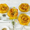 Einfaches & leckeres Rezept für Kartoffelblüten mit nur 7 Zutaten! 