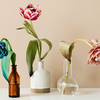 Blumenvase reinigen: Mit diesen Hausmitteln werden sie von innen wieder richtig schön sauber