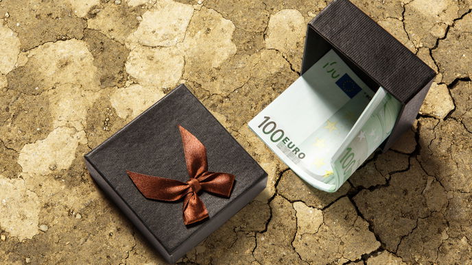 Eltern, Freunde oder Familie: Wie viel Geld sollten Sie dem Brautpaar zur Hochzeit schenken? 