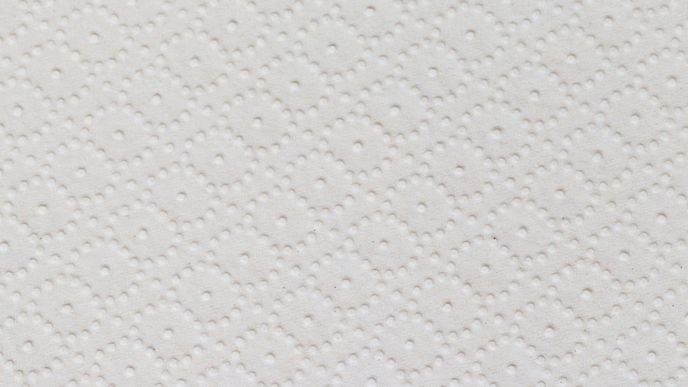 Schluss mit der Papierverschwendung: Darum lieben wir biologisch abbaubare Küchentücher