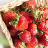 Erdbeeren schimmeln: Muss jetzt die ganze Schale in den Müll? 