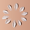 Sonnencreme ohne Schadstoffe? Diese 3 Favoriten überzeugen Beauty-Fans