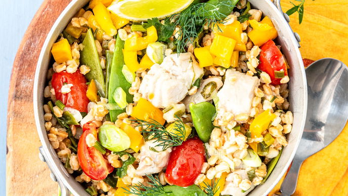 Einfache & schnelle Fisch-Rezepte für den Alltag: Gesunde Gerichte mit Lachs, Kabeljau und Co.