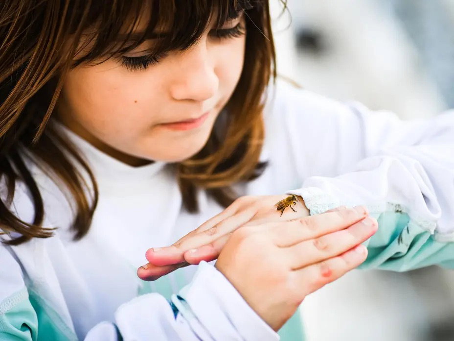 ALK-Abelló Insektengiftallergie