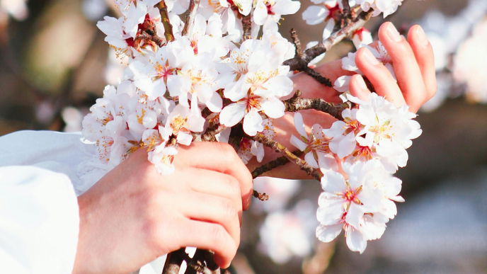 Verwöhnprogramm: 7 Tipps, die Ihren Händen guttun – weit über Beauty hinaus