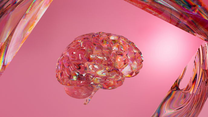 Wenn die Hormone im Kopf Versteck spielen: Wechseljahre, Migräne & das Gehirn