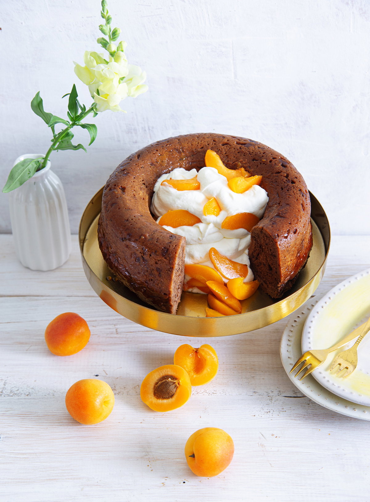 Schoko-Aprikosen-Savarin