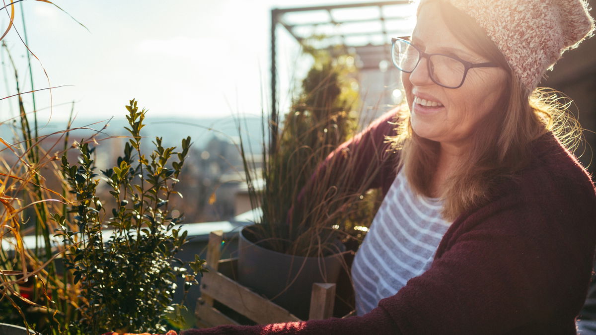 Wetterfest im Herbst: So schützen Sie Balkon und Garten vor Wind