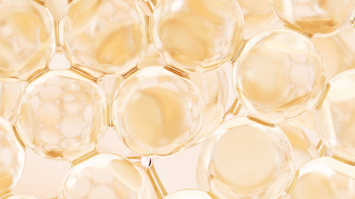 Starke Hautbarriere für kleines Geld: Die 3 besten Ceramid-Cremes aus DM & Rossmann