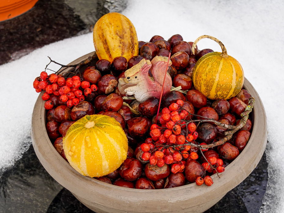 DIY-Herbstdeko für mehr Gemütlichkeit: Ideen mit Strick, warmen Farben & Trends im Blick