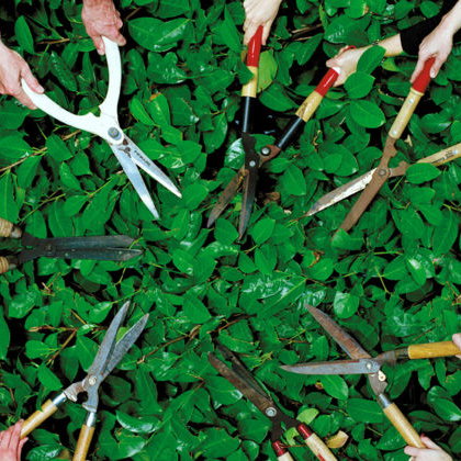 Gartenarbeit