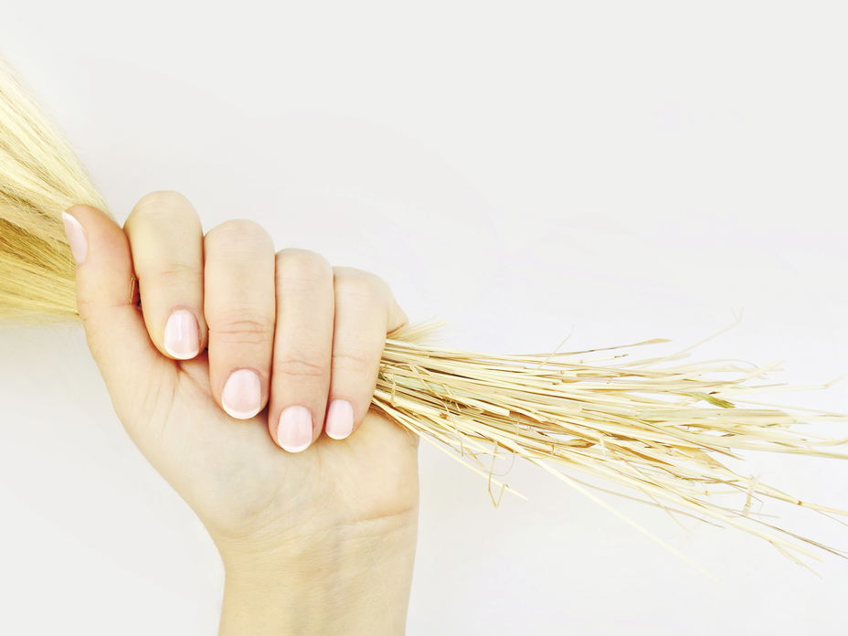 Haare wie Stroh - Pflege für jeden Haartyp
