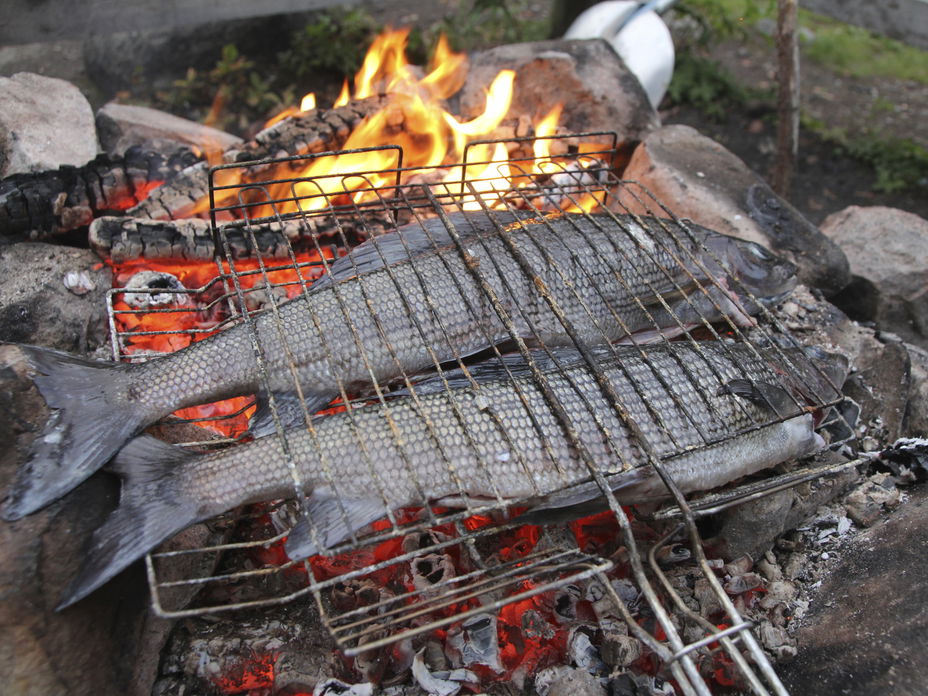 Fisch grillen - Leckere Rezepte und Tipps für einen leckeren Grillfisch