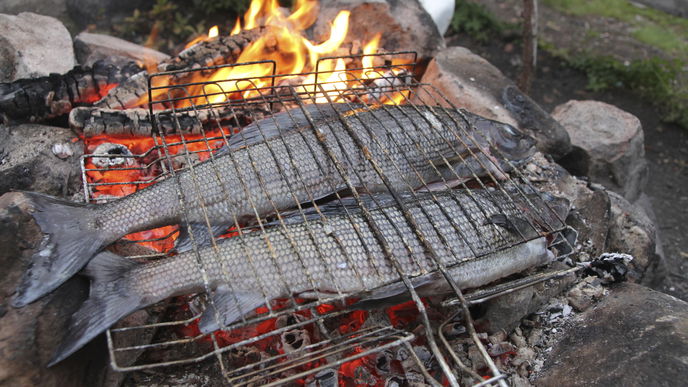 Rezepte für Fisch vom Grill
