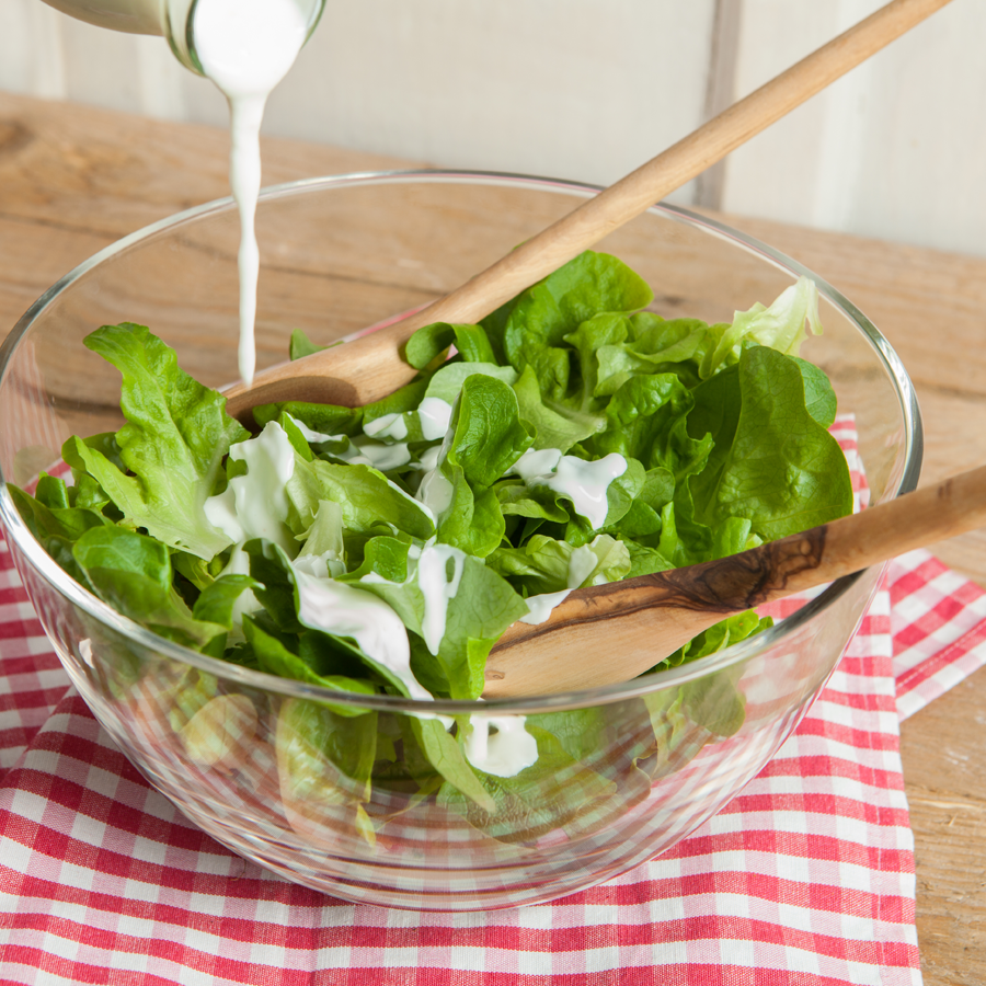 Salanova Wurzelsalat