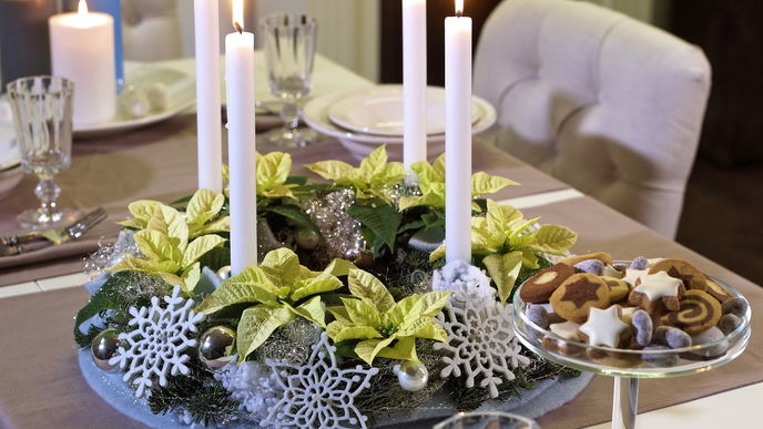 Adventskranz aus weißen Weihnachtssternen
