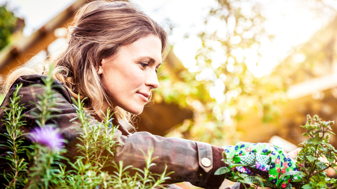 Allgemeine Tipps für einen schönen und gesunden Garten 