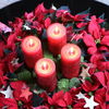 Adventskranz mit roten Weihnachtssternen