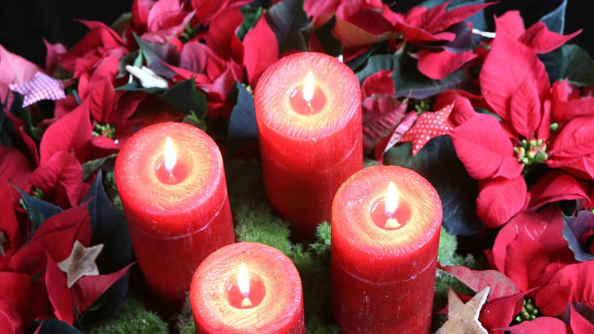 Adventskranz mit roten Weihnachtssternen
