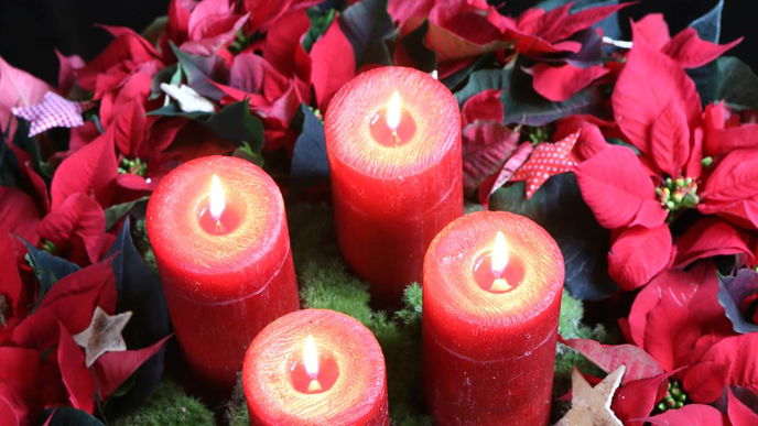 Adventskranz mit roten Weihnachtssternen