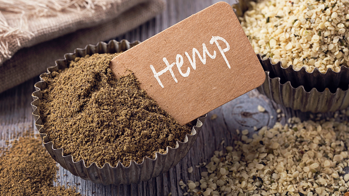 Backen mit Hanf: proteinreiche Zutat als Gesundheitsbooster